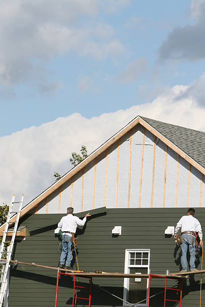 Best Custom Trim and Detailing for Siding  in Magnolia Springs, AL